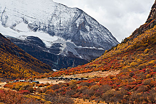 尾声・我则见跳龙门撞碎了偷香胆，权宁耐红消绿减。成就了我紫罗礻阑