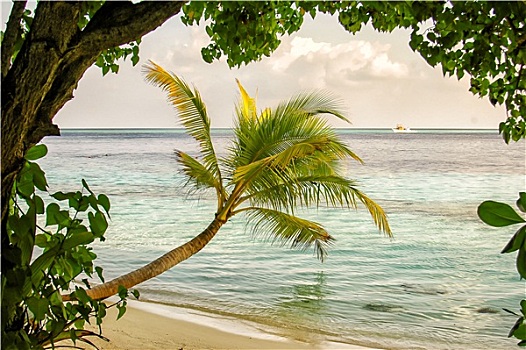 逞风流王焕百花亭・油葫芦